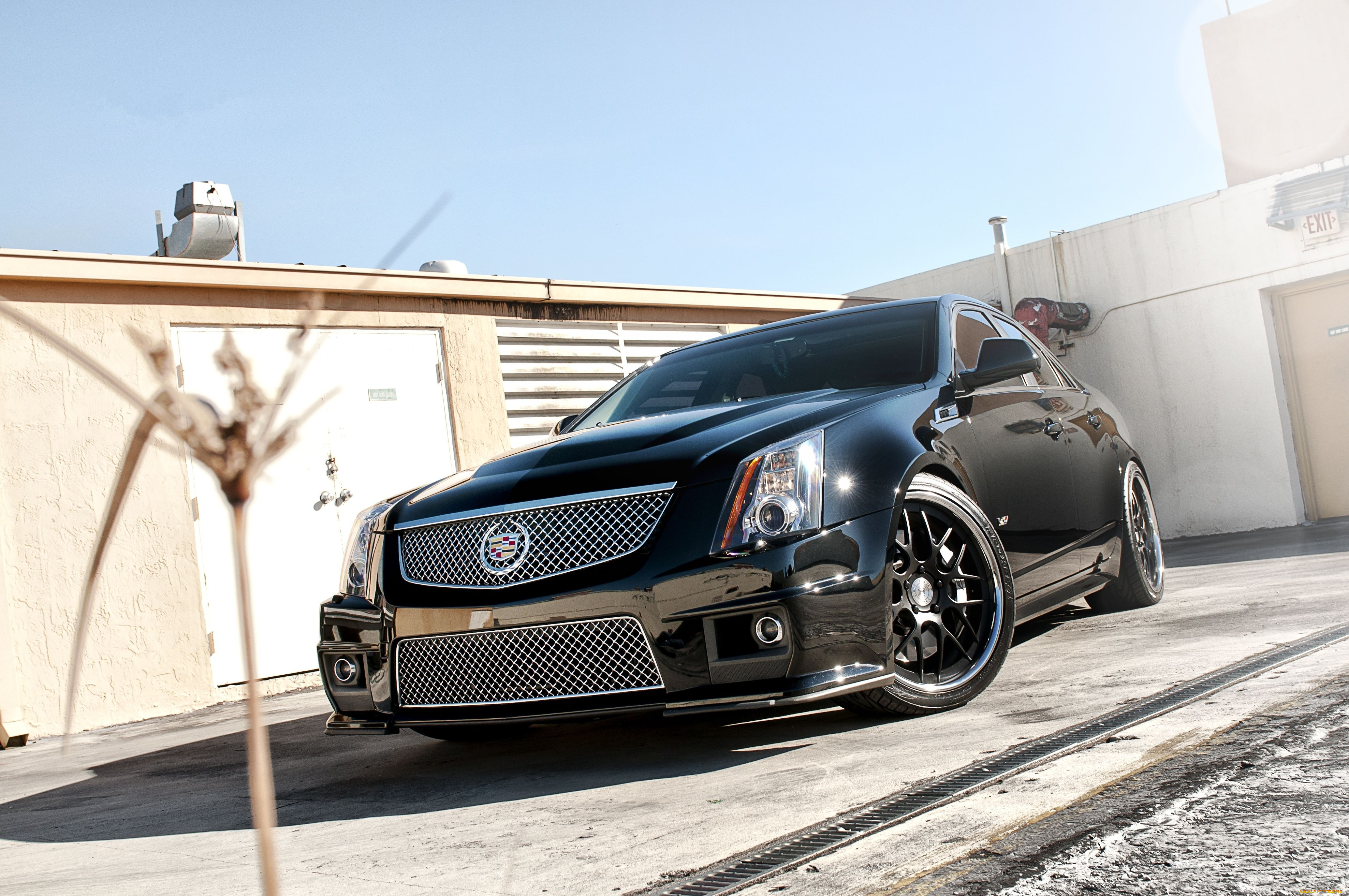 cadillac, cts, , sedan